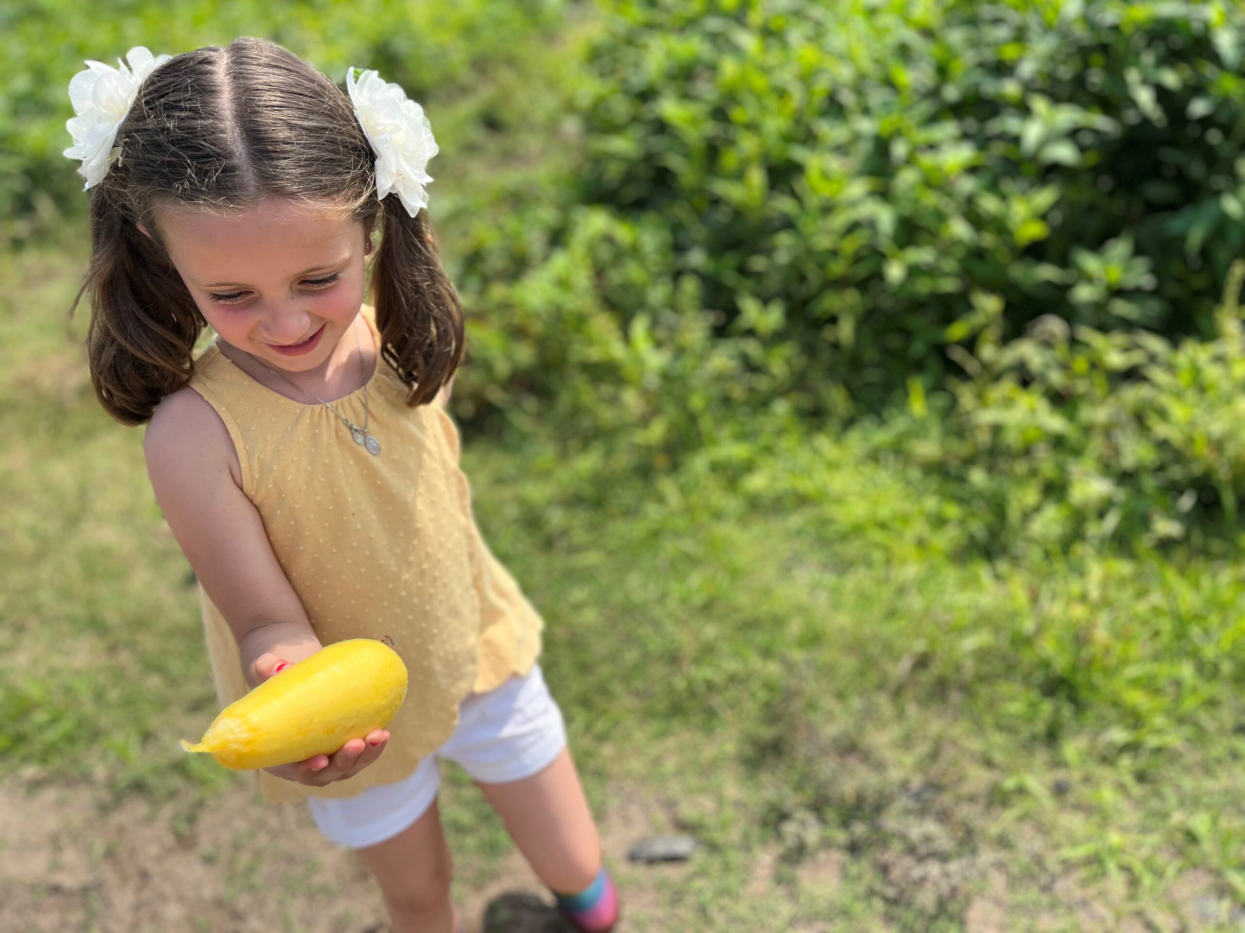 A cute little girl holding a fruit