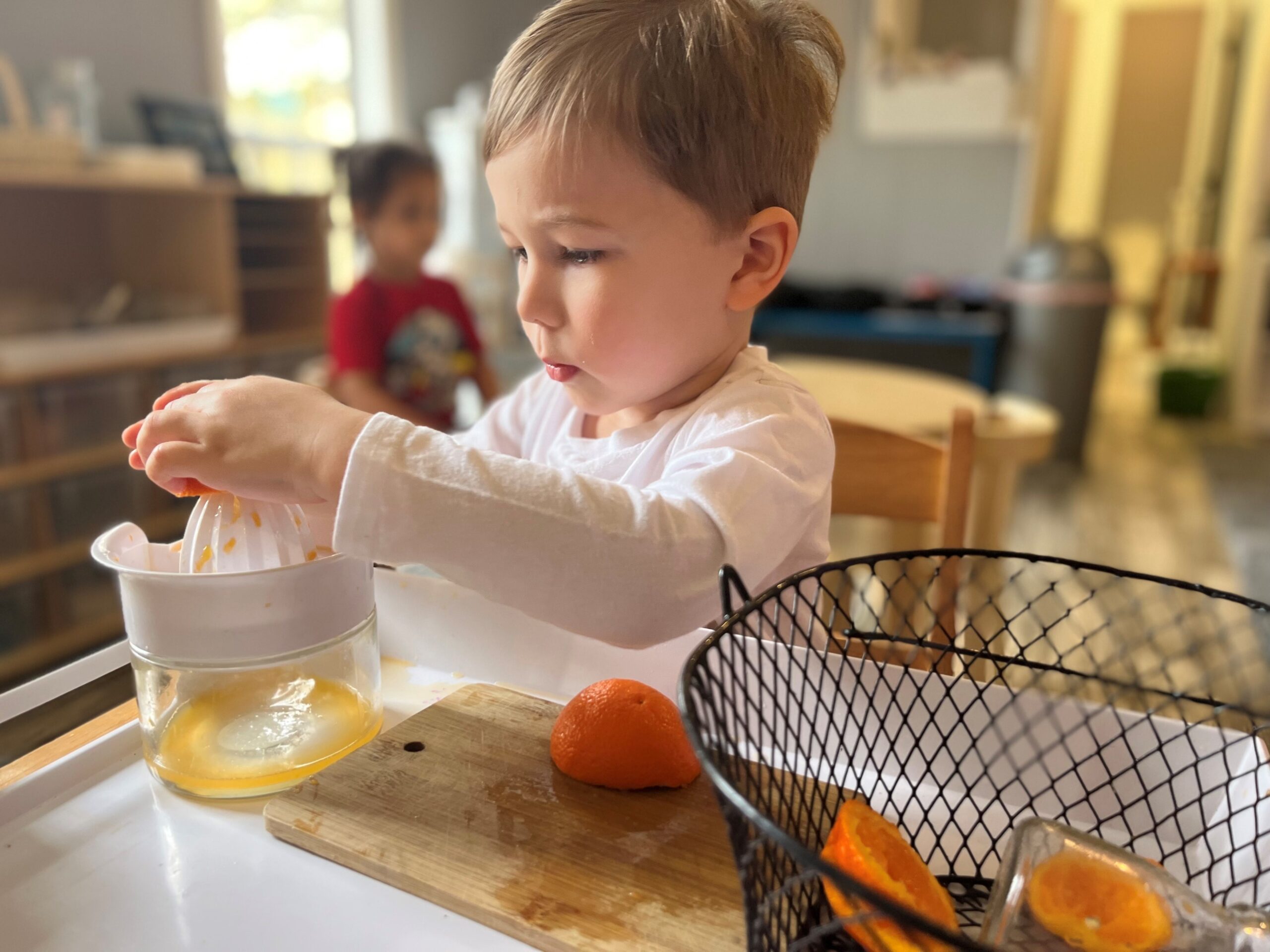 A small child squeezing fresh orange juice